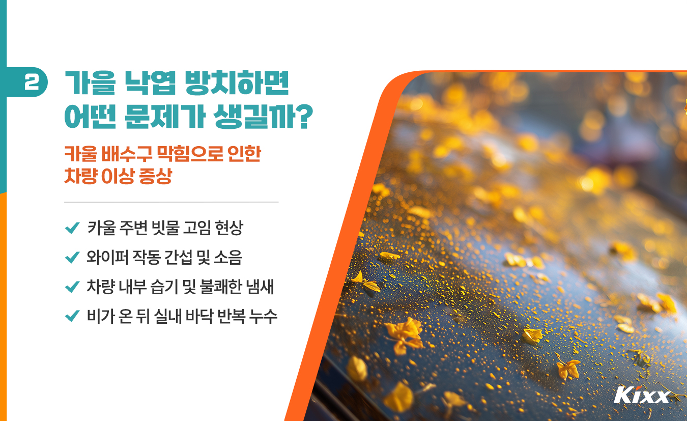 9월_킥스라이프_홍천-은행나무숲_3.jpg