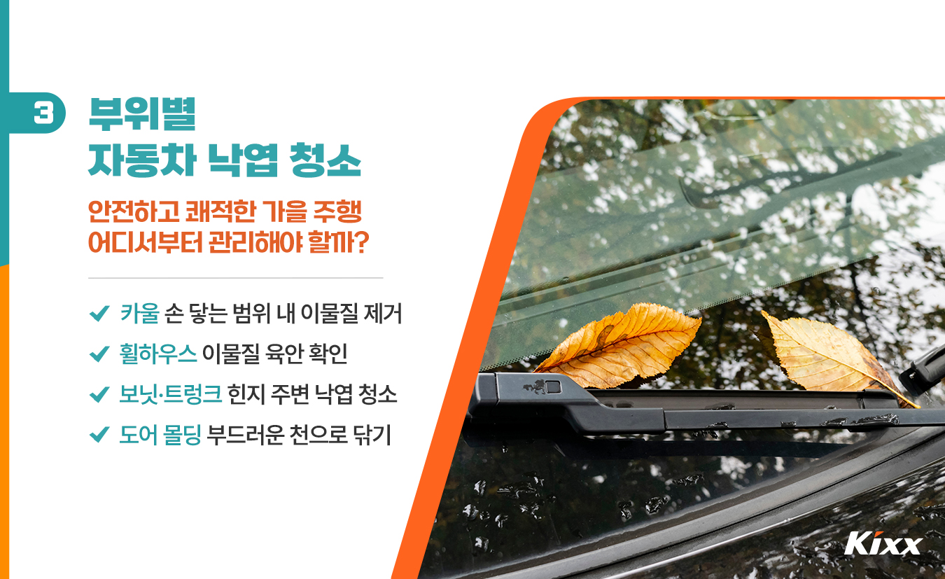 9월_킥스라이프_홍천-은행나무숲_4.jpg