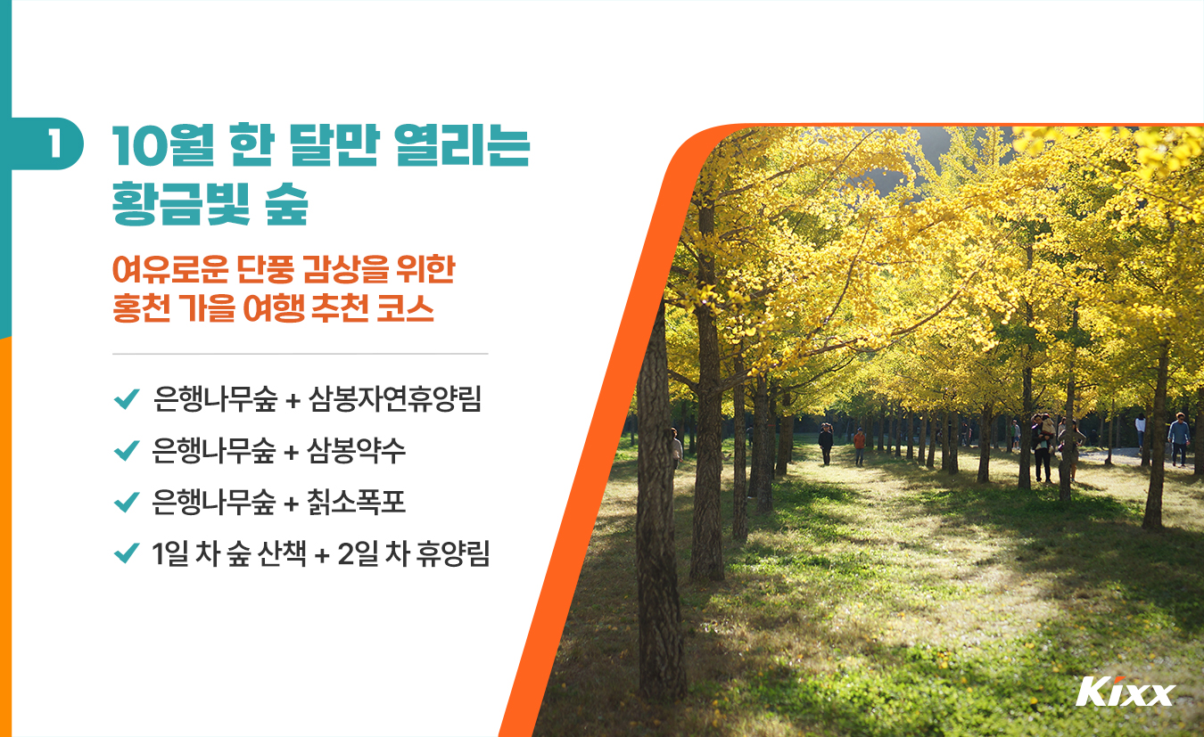 9월_킥스라이프_홍천-은행나무숲_2.jpg