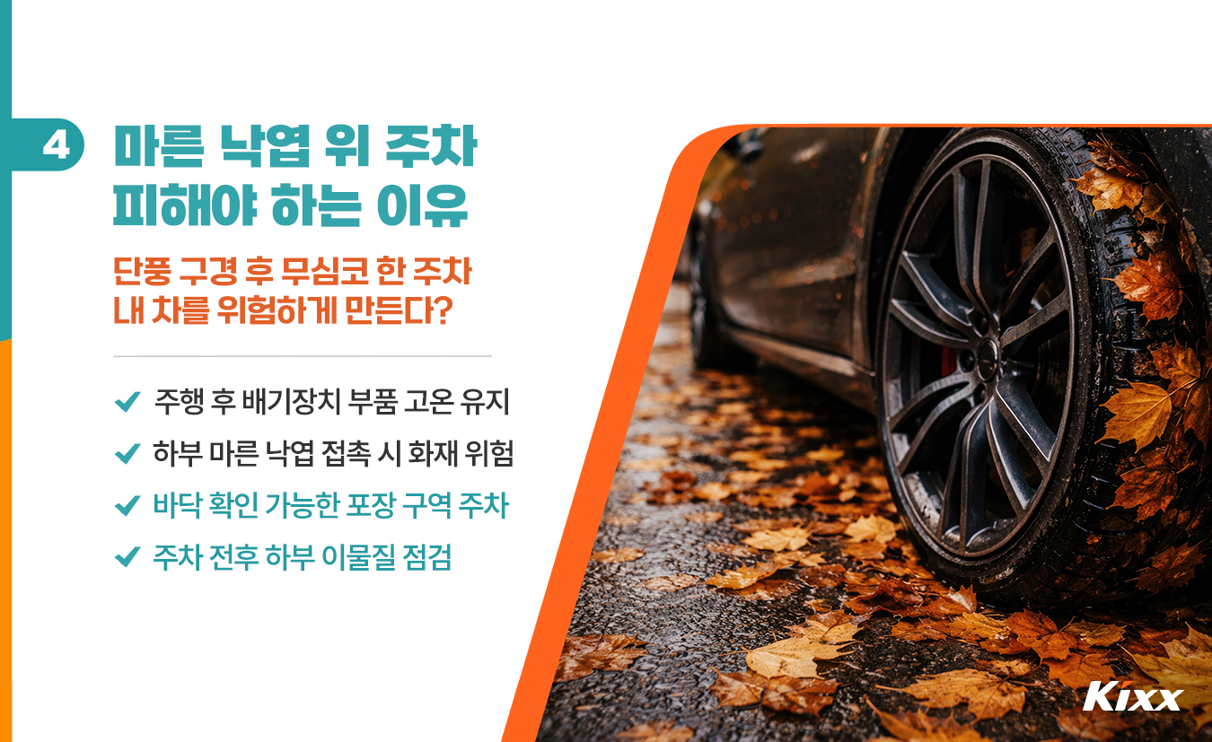 9월_킥스라이프_홍천-은행나무숲_5.jpg