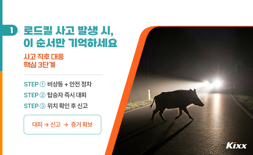 2-life-2026-roadkill.jpg