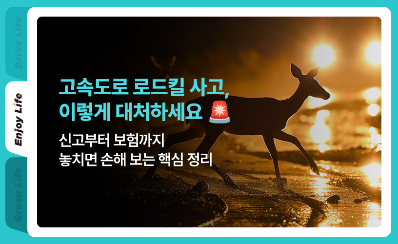 1-life-2026-roadkill.jpg