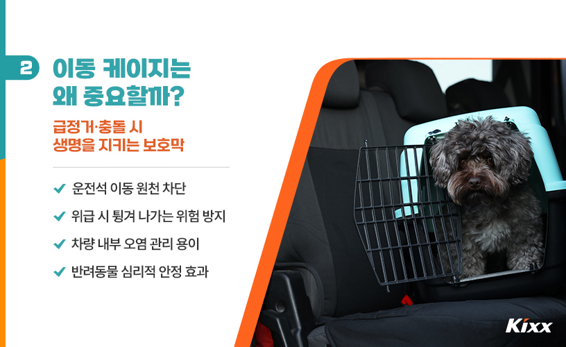 반려동물 차량 탑승_3.jpg