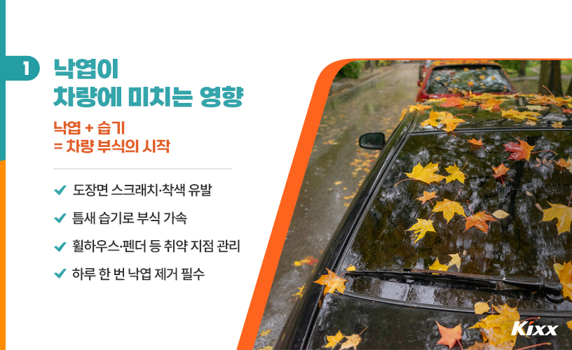 킥스라이프_세차 외관 관리_2p.jpg