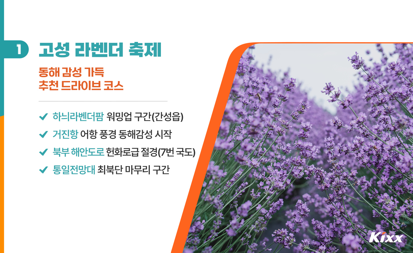 2-life-2026-hani-lavenderfarm-festival-drive-trip.jpg