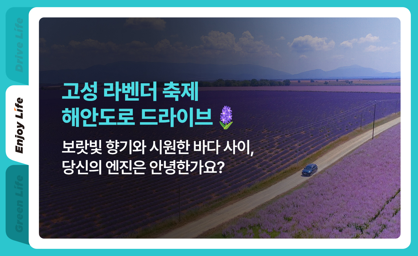 1-life-2026-hani-lavenderfarm-festival-drive-trip.jpg