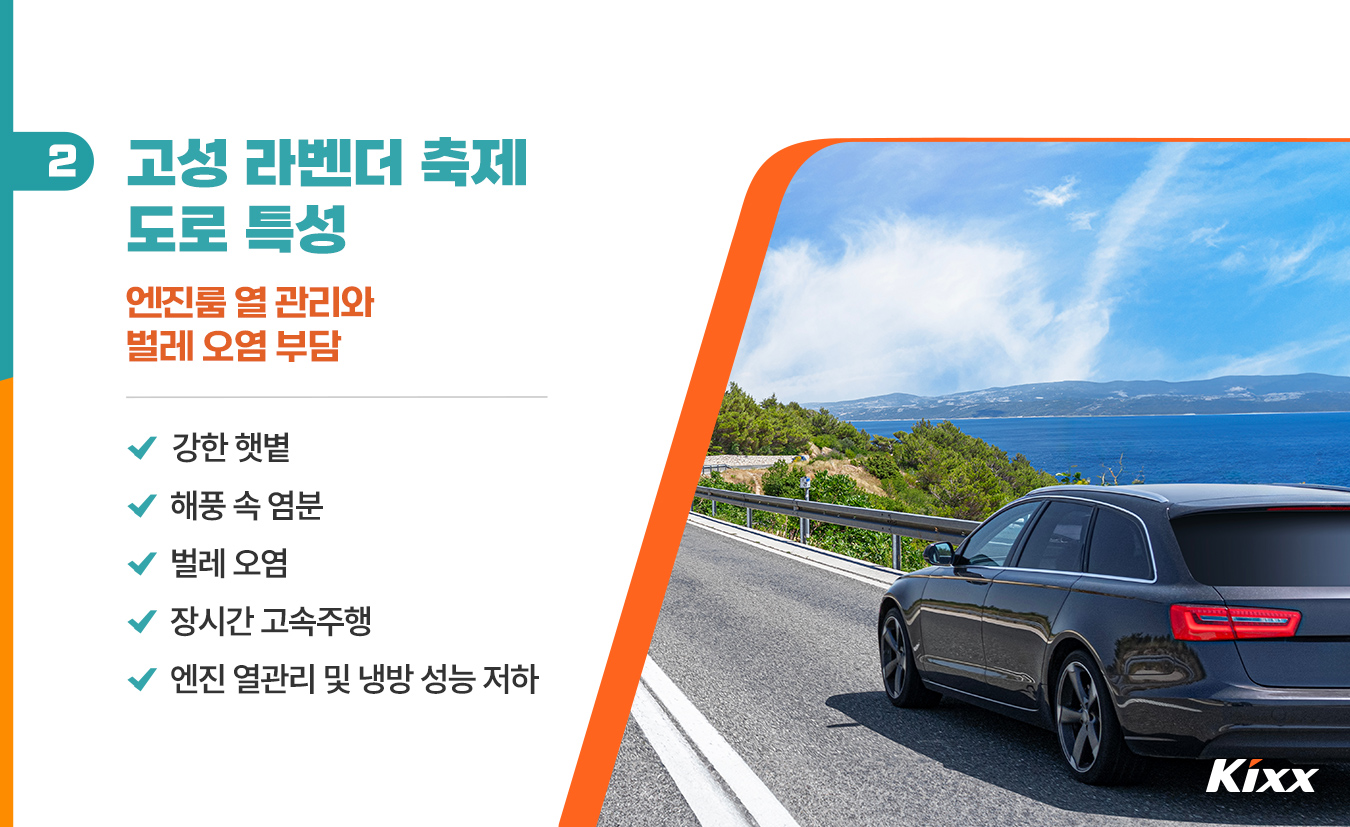 3-life-2026-hani-lavenderfarm-festival-drive-trip.jpg