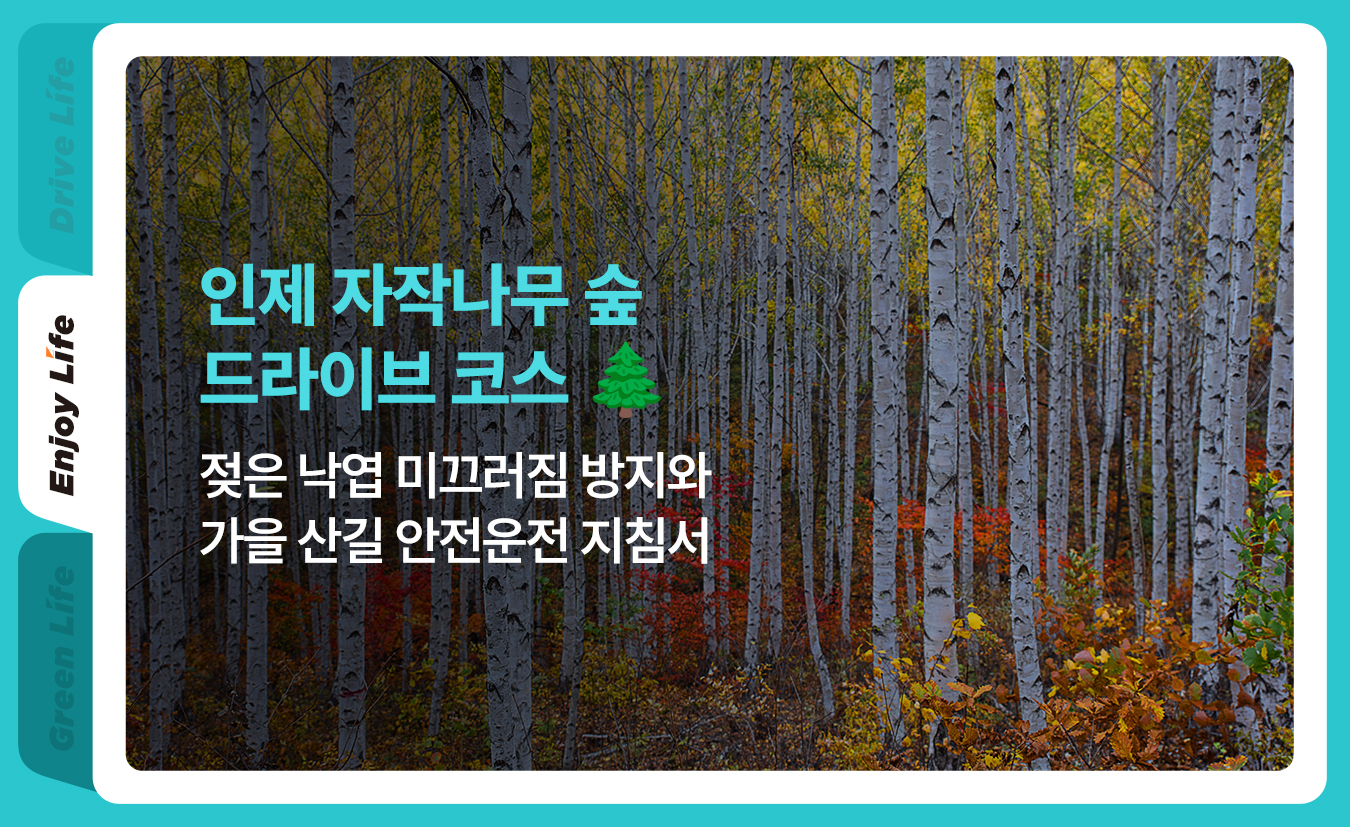 9월_킥스라이프_인제-드라이브-코스_1.jpg
