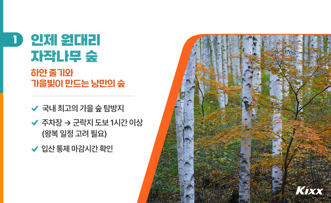 9월_킥스라이프_인제-드라이브-코스_2.jpg