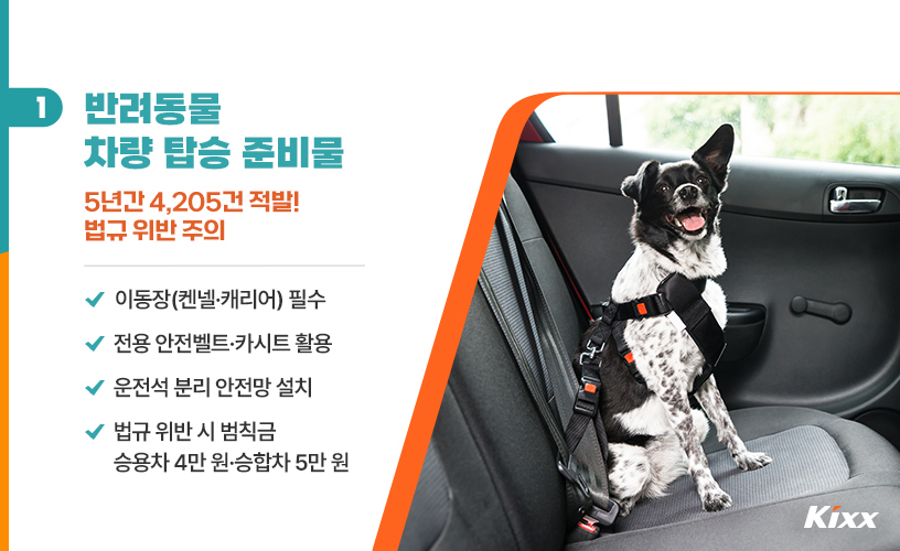 강아지 이동장과 여행 가방을 준비한 모습